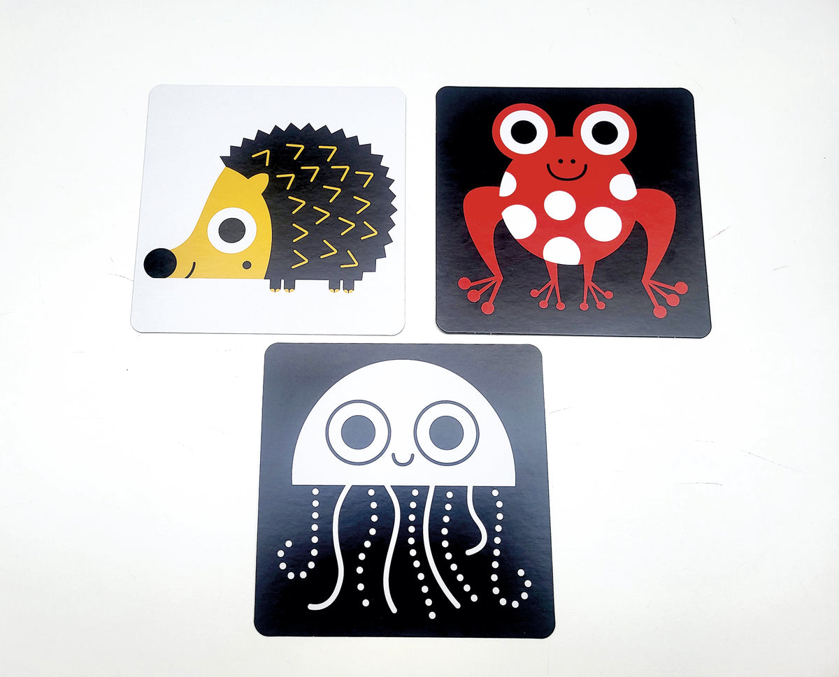 Animali::flash cards ad alta leggibilità