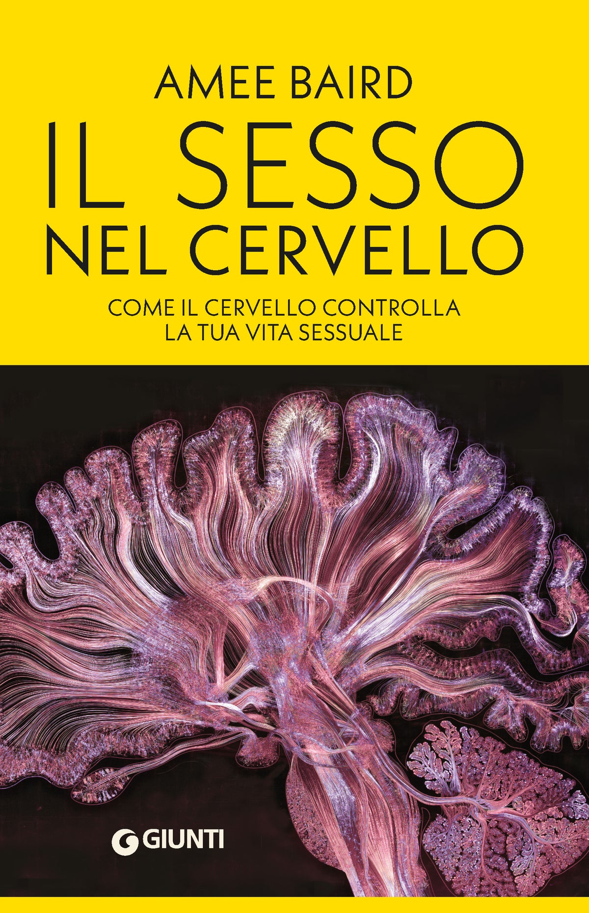 Il sesso nel cervello::Come il cervello controlla la tua vita sessuale