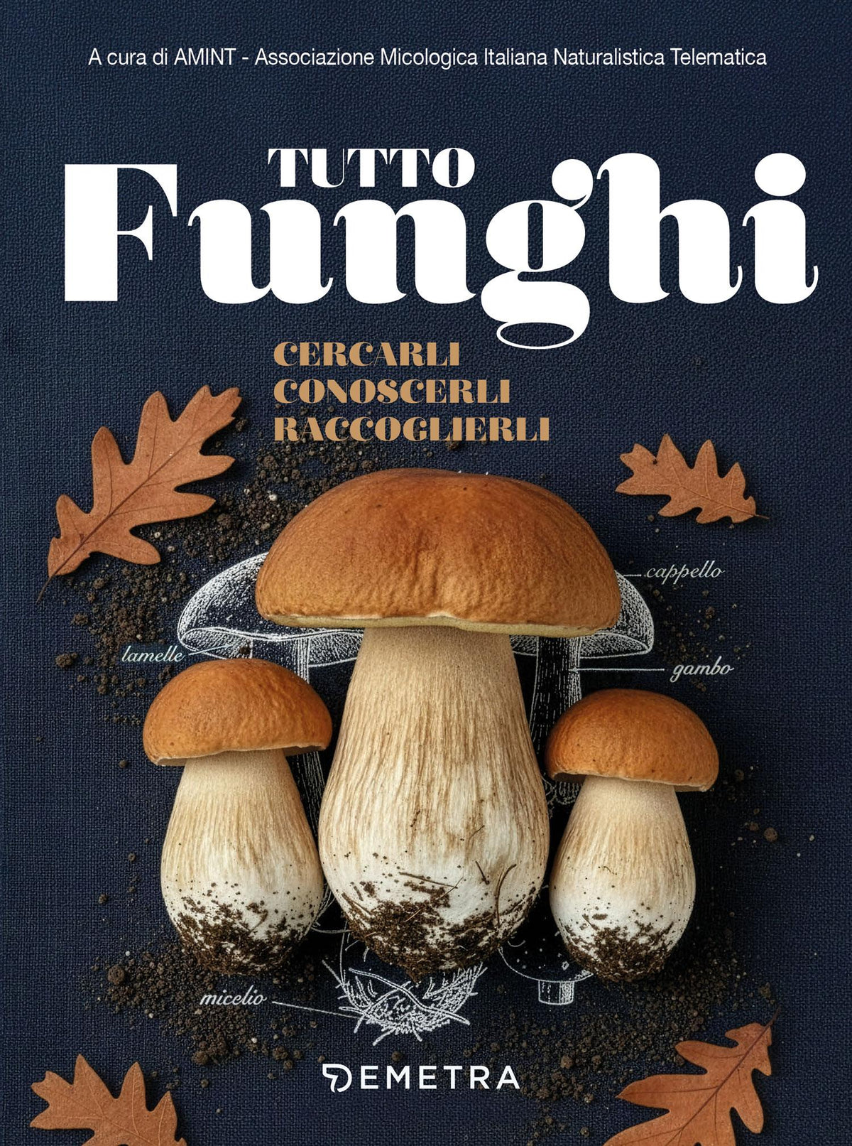 TUTTO FUNGHI