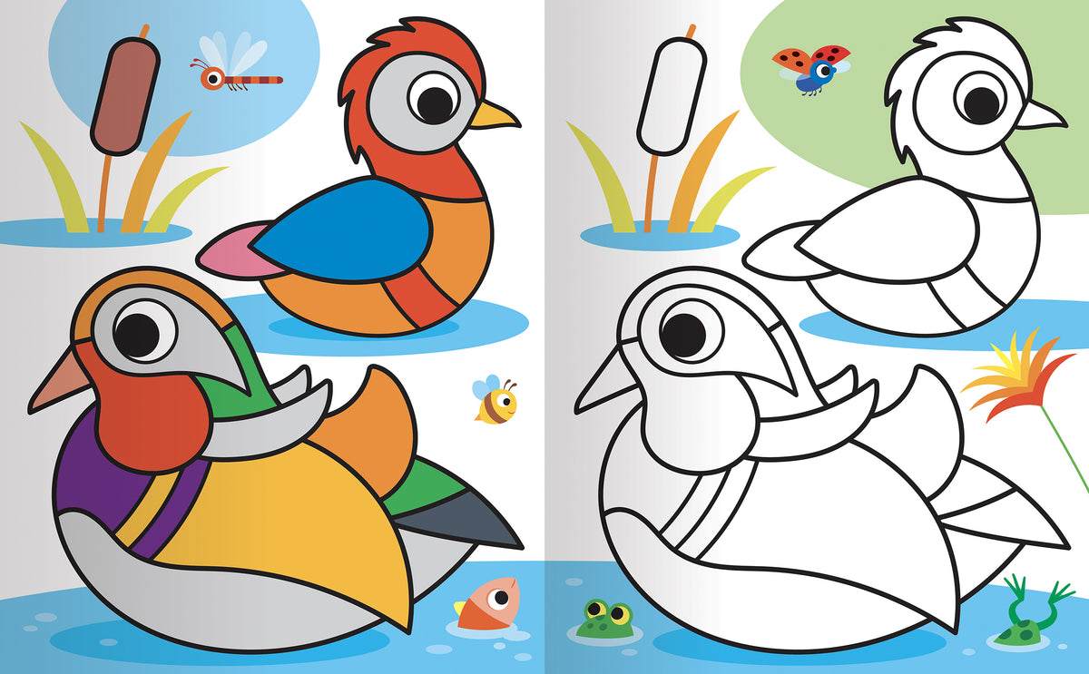 Colorare gli Animali