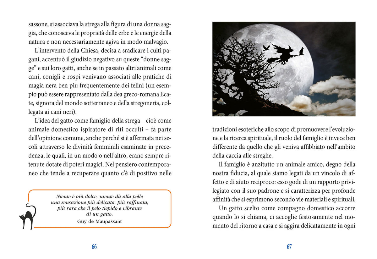 I poteri magici del gatto::Storia- Leggende - Tradizioni