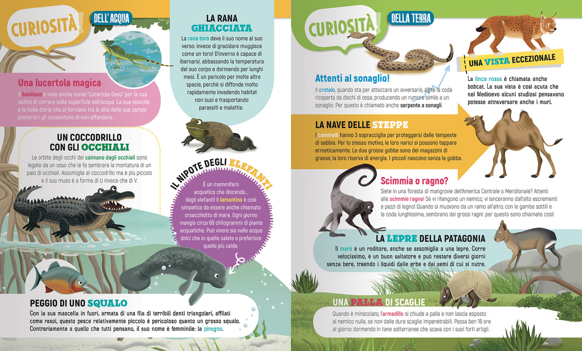 Animali Selvaggi