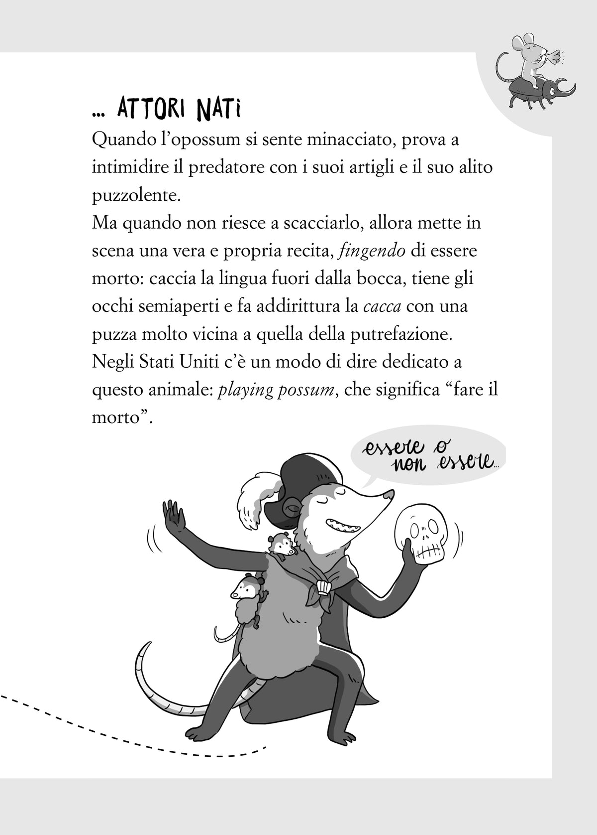Fatti assurdi per ragazzi curiosi