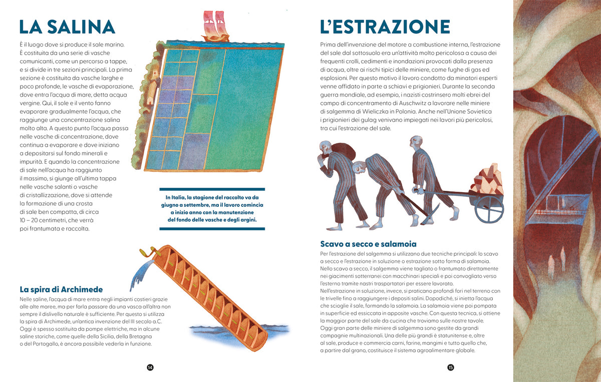 Il Sale