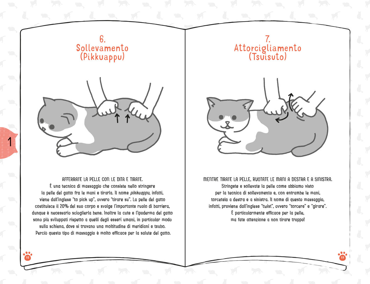 Coccole per gatti::Massaggi e carezze per felini felici