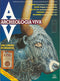 Archeologia Viva n. 42 - novembre/dicembre 1993::Rivista bimestrale