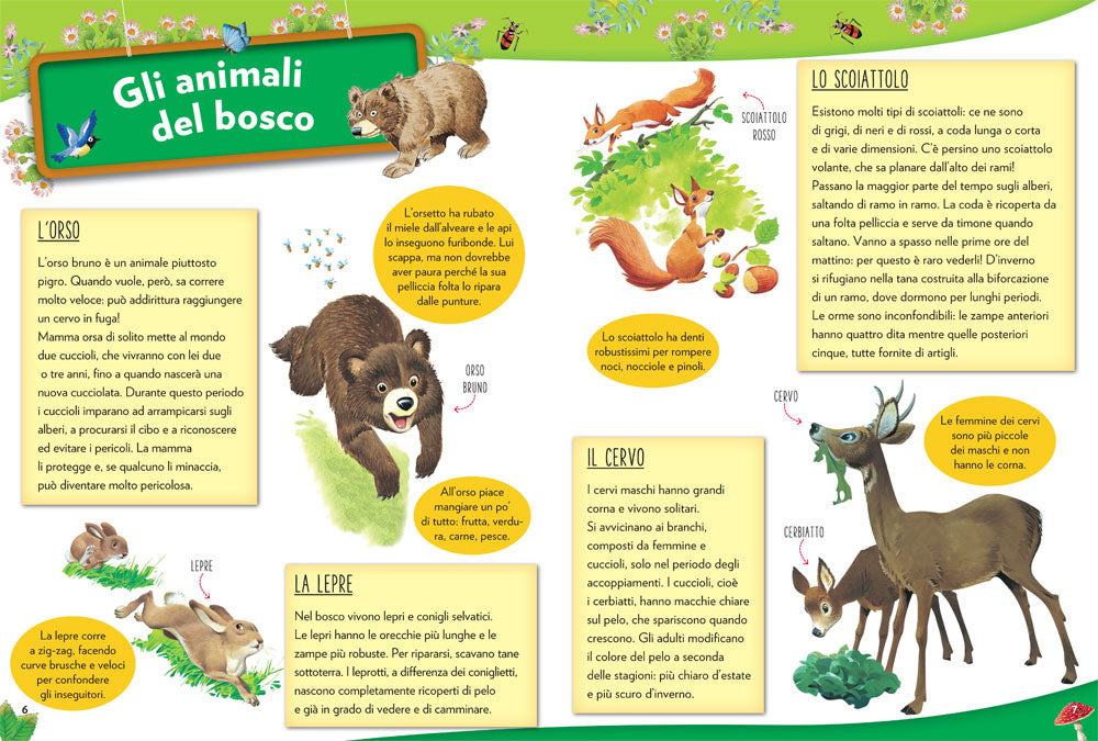Conosci... il bosco