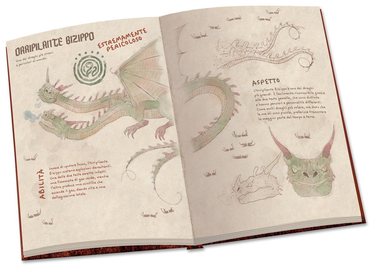 Dragon Trainer. Il grande libro dei draghi