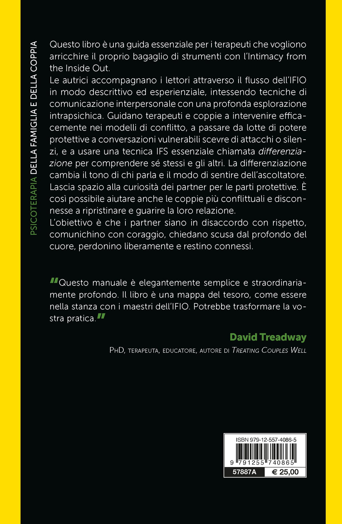 Terapia di coppia e sistemi familiari interni::Guarire le relazioni con il metodo dell’intimità dall’interno verso l’esterno. Manuale delle competenze