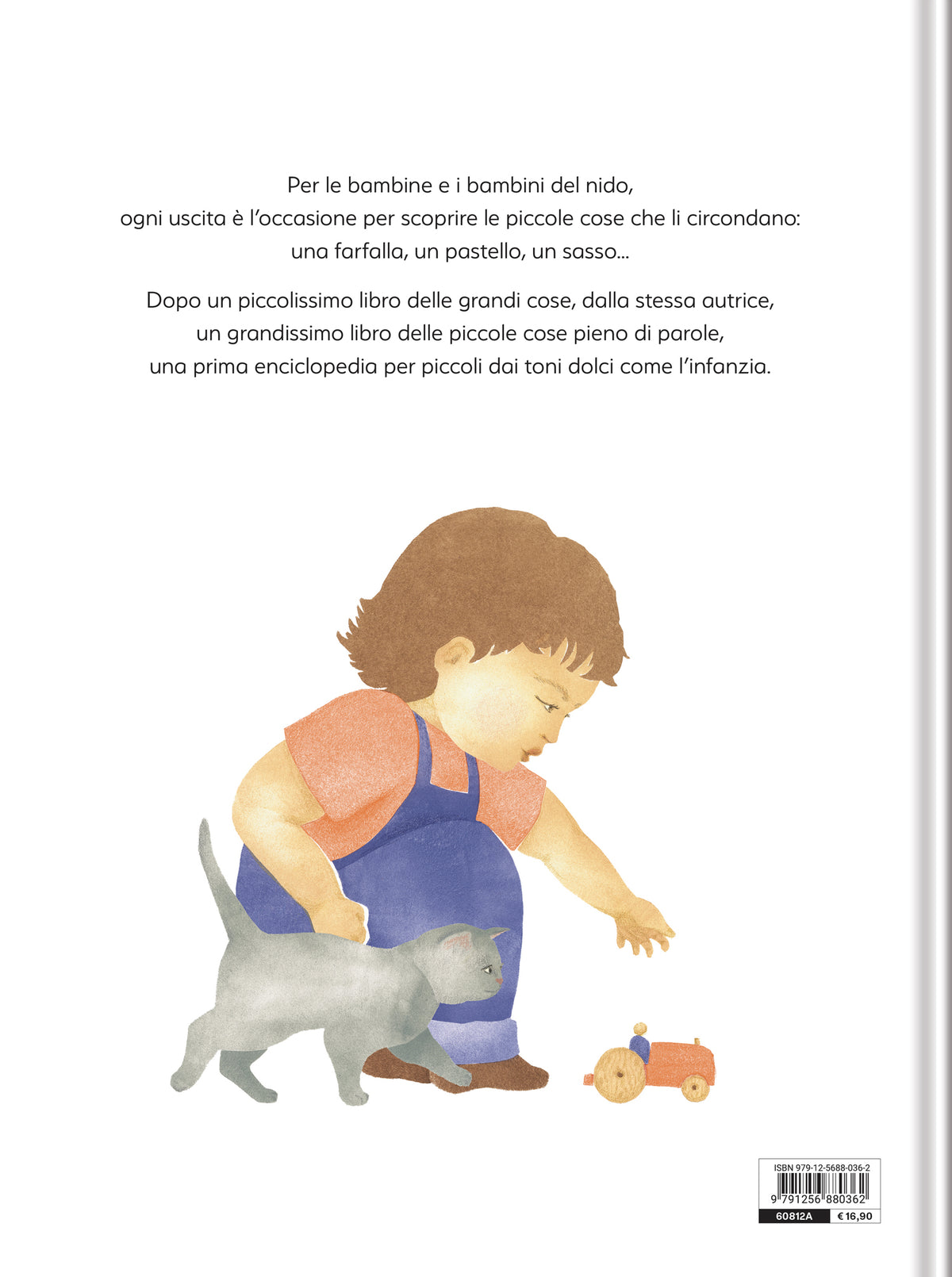 Il Grande libro delle piccole cose