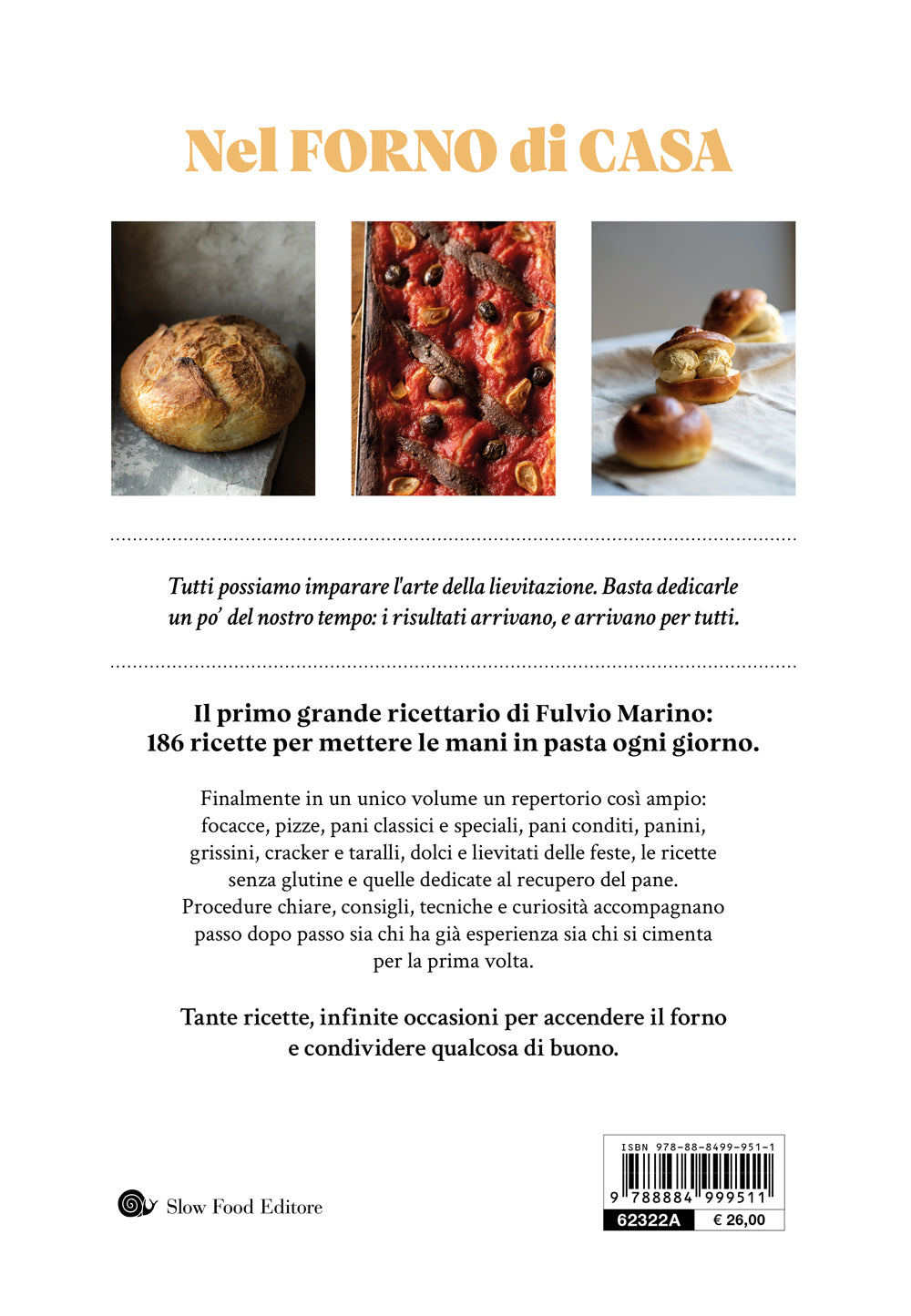 NEL FORNO DI CASA. LE MIE RICETTE PER TUTTI::186 FOCACCE, PIZZE, PANI E DOLCI PER METTERE LE MANI IN PASTA