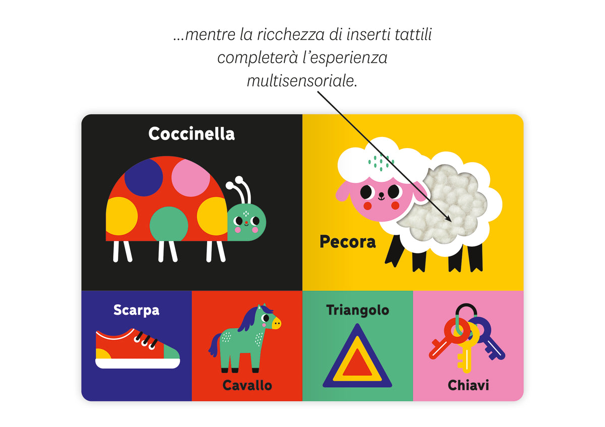 Guardo, scopro, esploro
