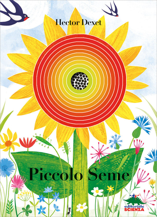Piccolo seme