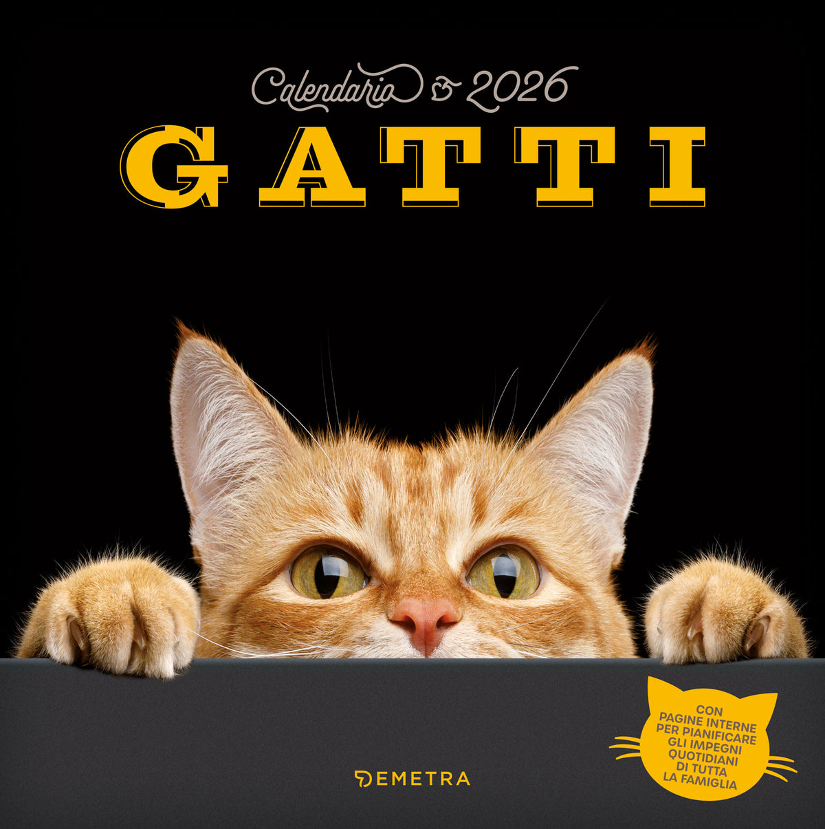 CALENDARIO GATTI  2026 da parete (30 x 30 cm)