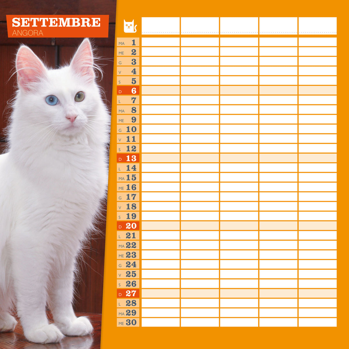 CALENDARIO GATTI  2026 da parete (30 x 30 cm)