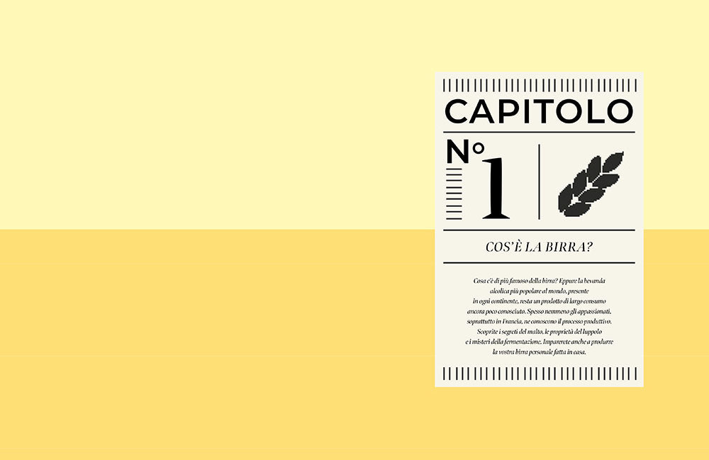 Birra. Manuale per aspiranti intenditori