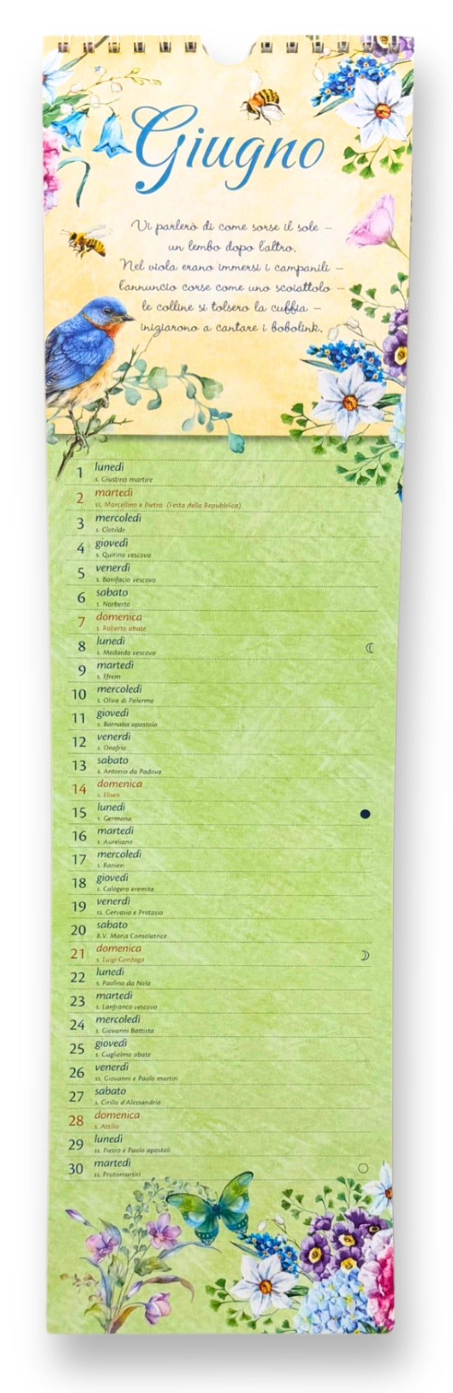 CALENDARIO EMILY STRETTO 2026 da parete (12,5 X 48 cm)
