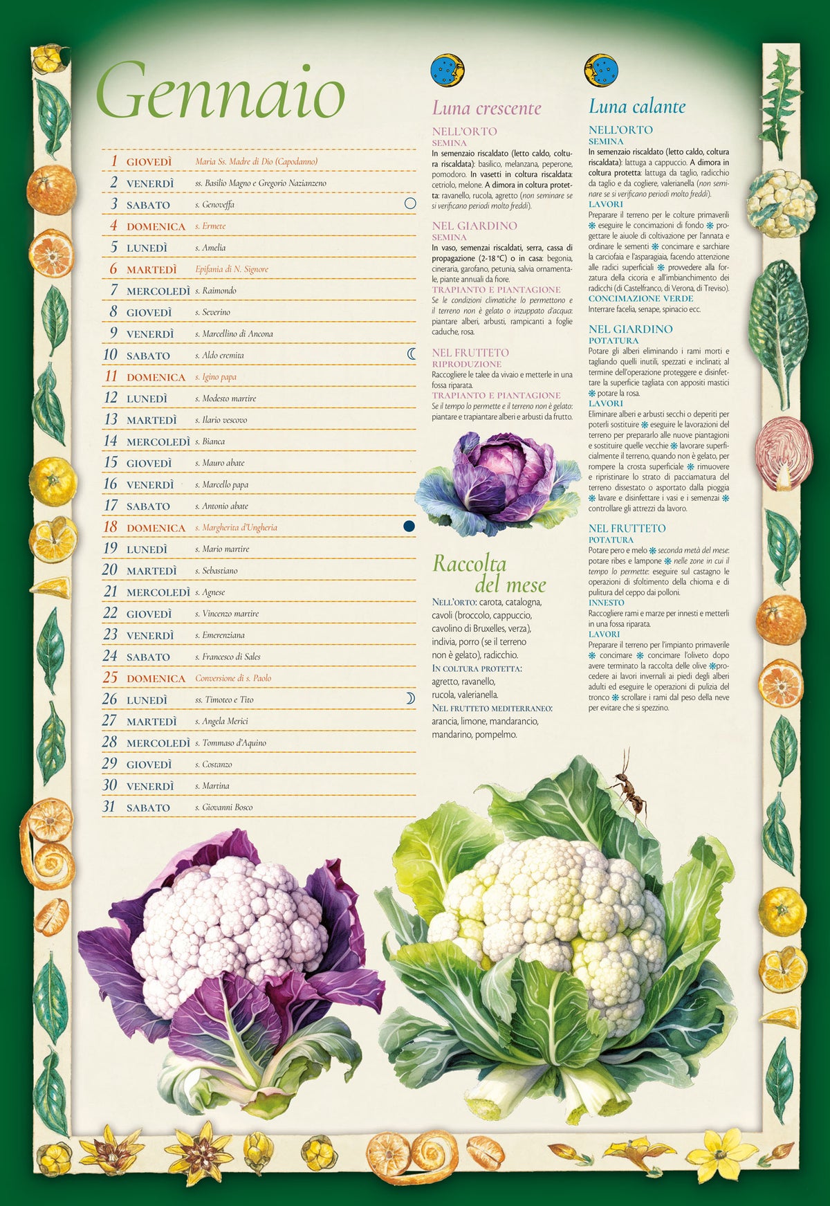 CALENDARIO LUNARE 2026 da parete (26,5 X 38,5 cm)