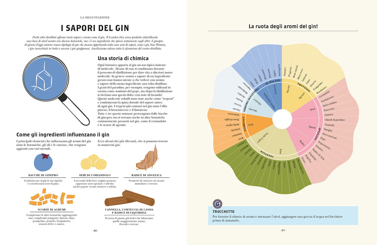 Gin. Manuale per aspiranti intenditori::Guida illustrata per appassionati