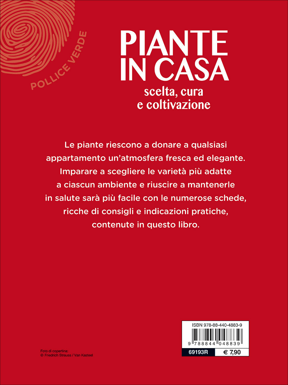 Piante in casa::Scelta, cura e coltivazione