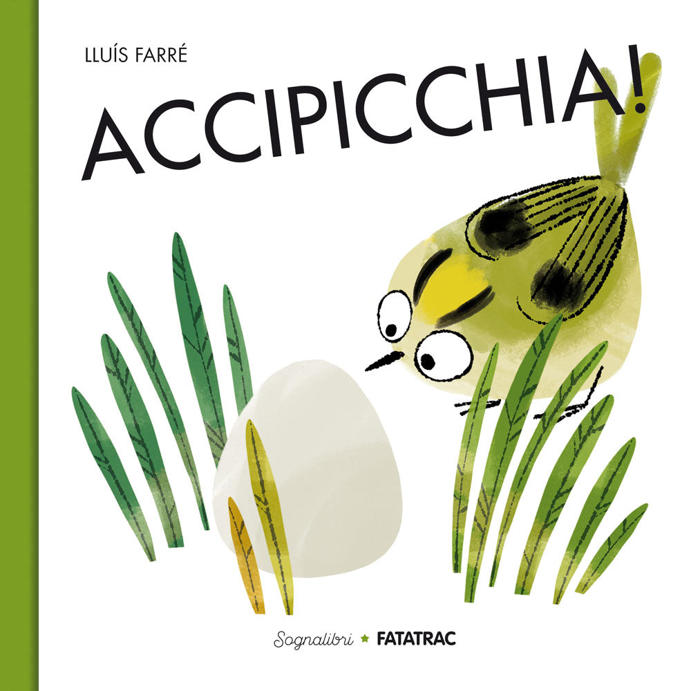 Accipicchia!