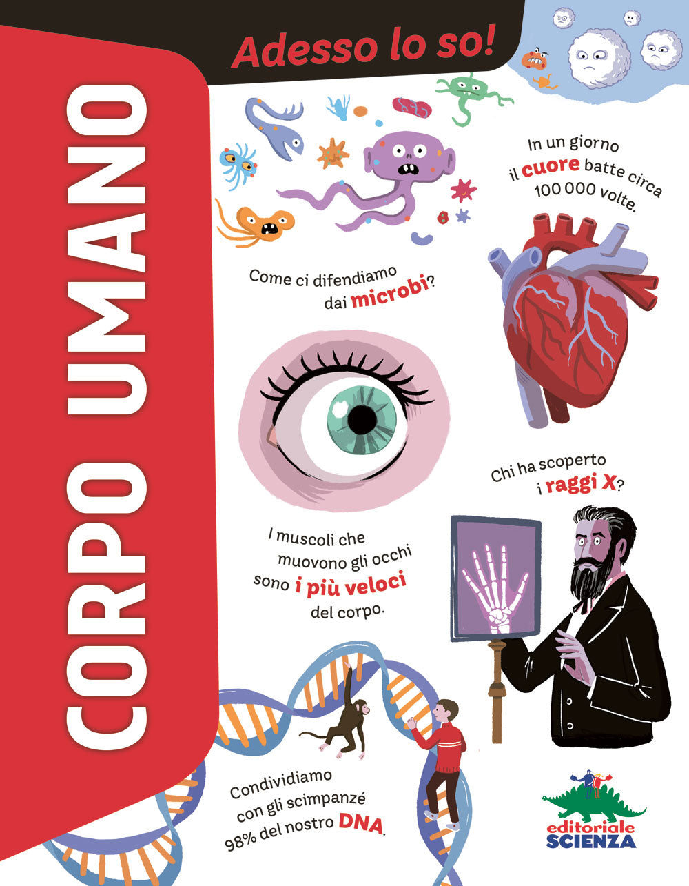 Corpo umano