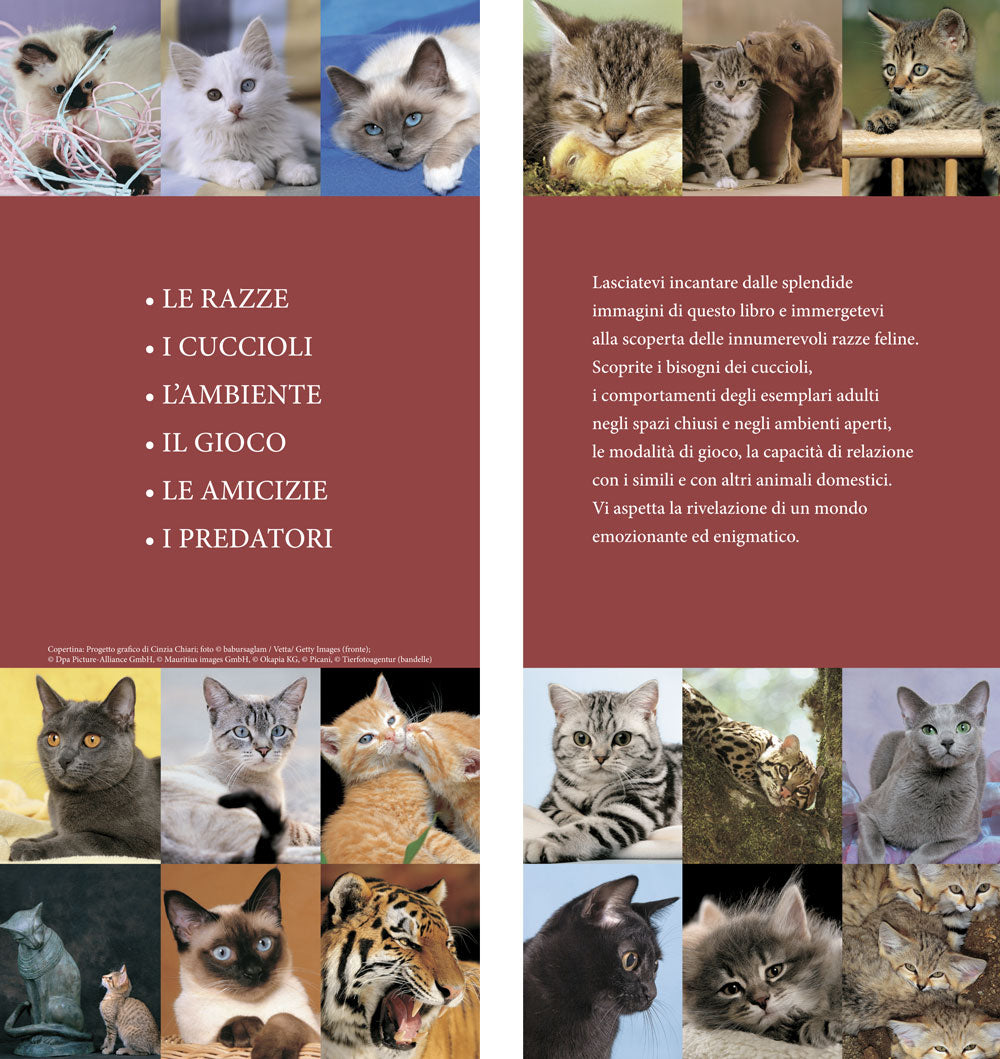 Il libro dei gatti