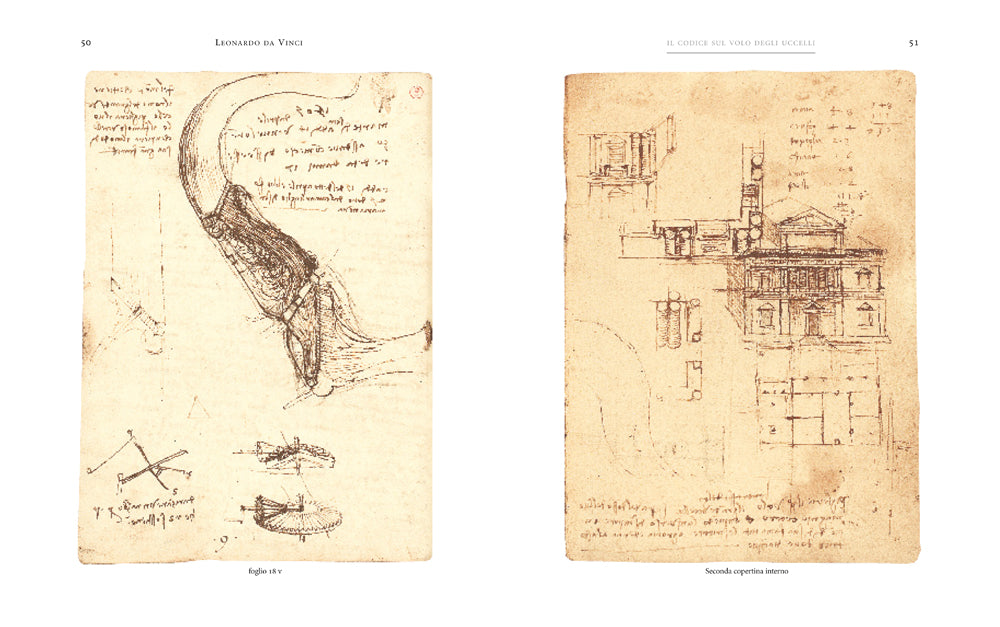 Il Codice sul volo degli uccelli