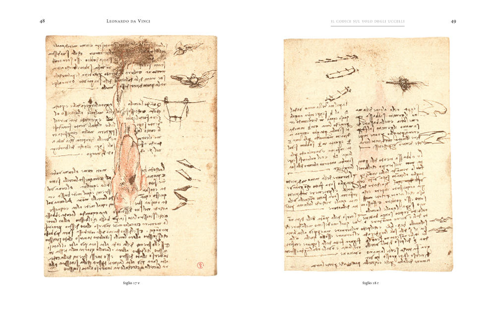 Il Codice sul volo degli uccelli