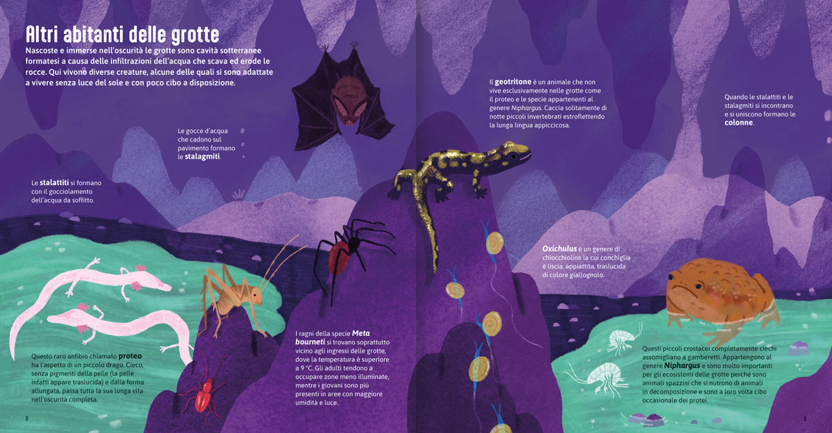 Case degli animali - Terra::Esplora gli habitat della natura