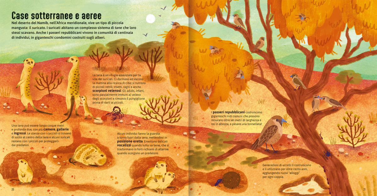 Case degli animali - Terra::Esplora gli habitat della natura