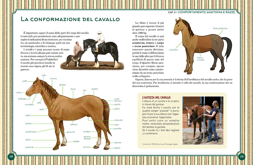 Il grande libro del cavallo