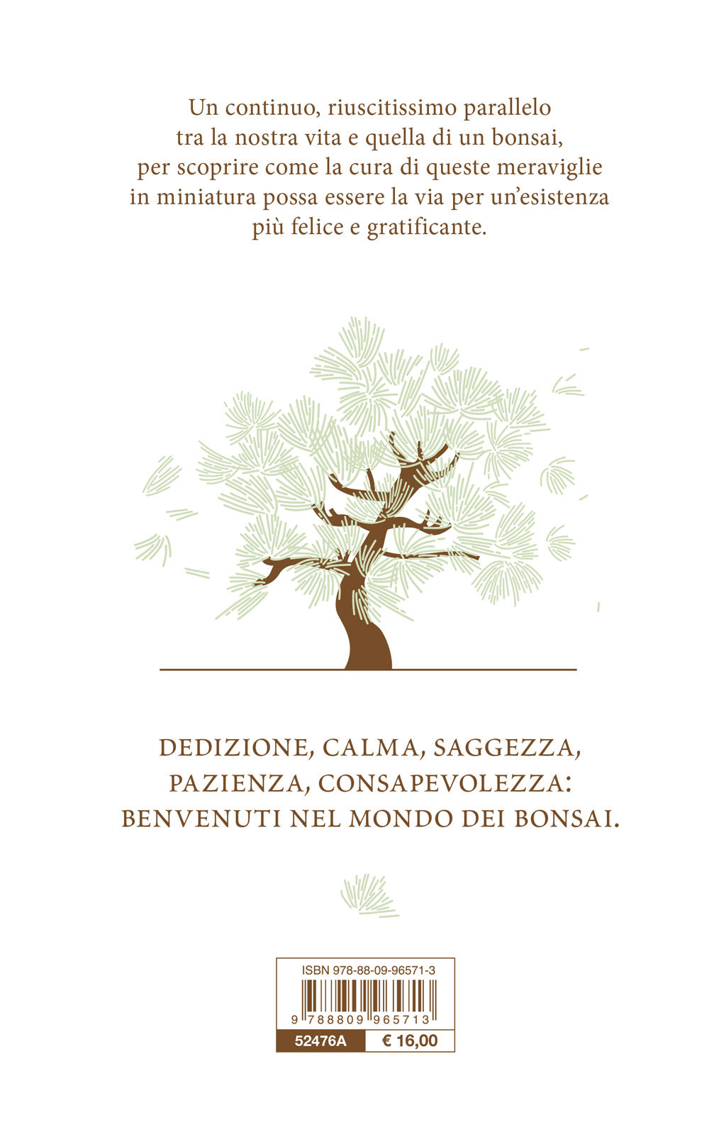 Essere bonsai::L'arte di coltivare la pazienza e la meraviglia