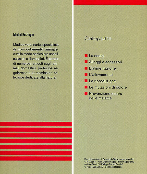 Diamante di Gould::Caratteristiche, comportamento, allevamento, riproduzione, alimentazione, igiene, salute