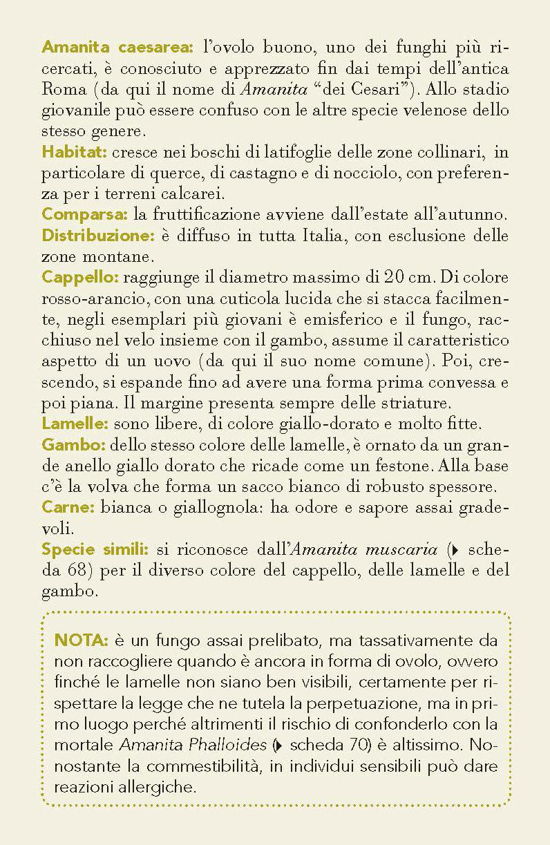 Funghi::101 schede per conoscere, riconoscere e trovare i funghi