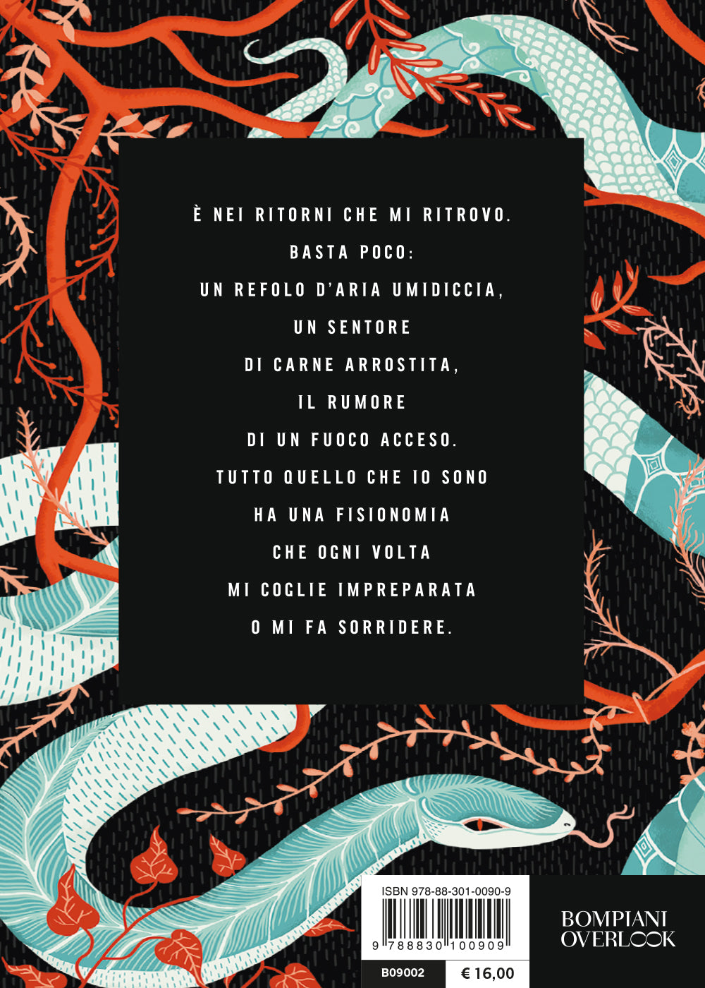 Portami dove sei nata