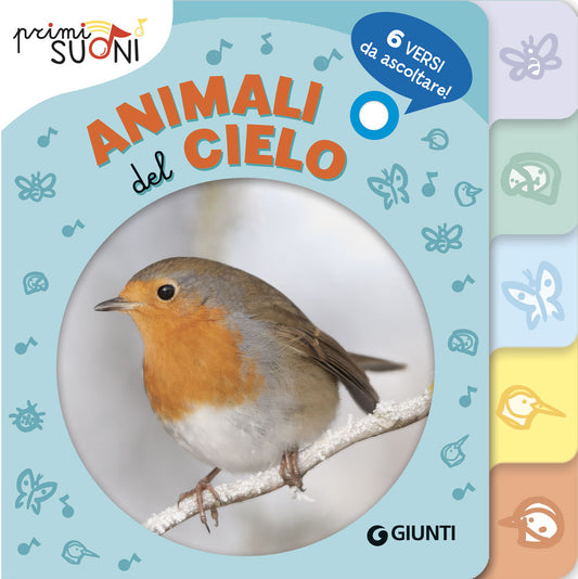 Animali del cielo