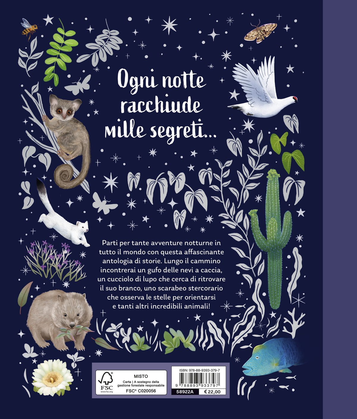 I segreti della notte::Storie della buonanotte per scoprire la natura
