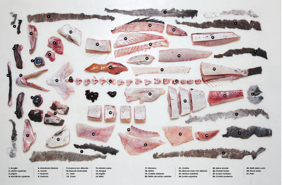 Il Grande libro del pesce::Nuovi modi per cucinarlo, mangiarlo e pensarlo