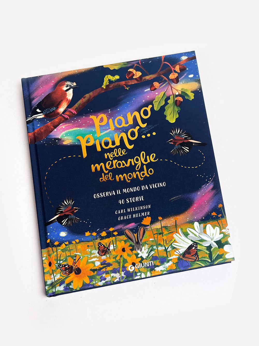 Piano piano... nelle meraviglie del mondo::Osserva il mondo da vicino