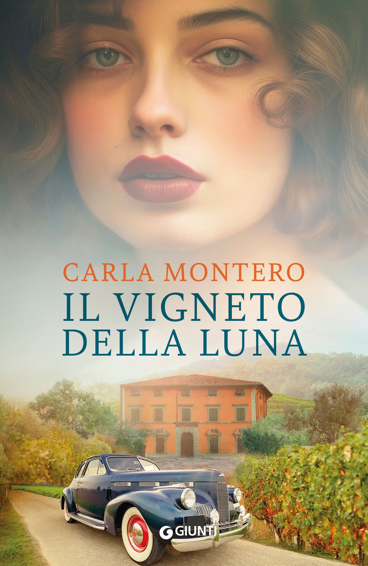 Il vigneto della luna