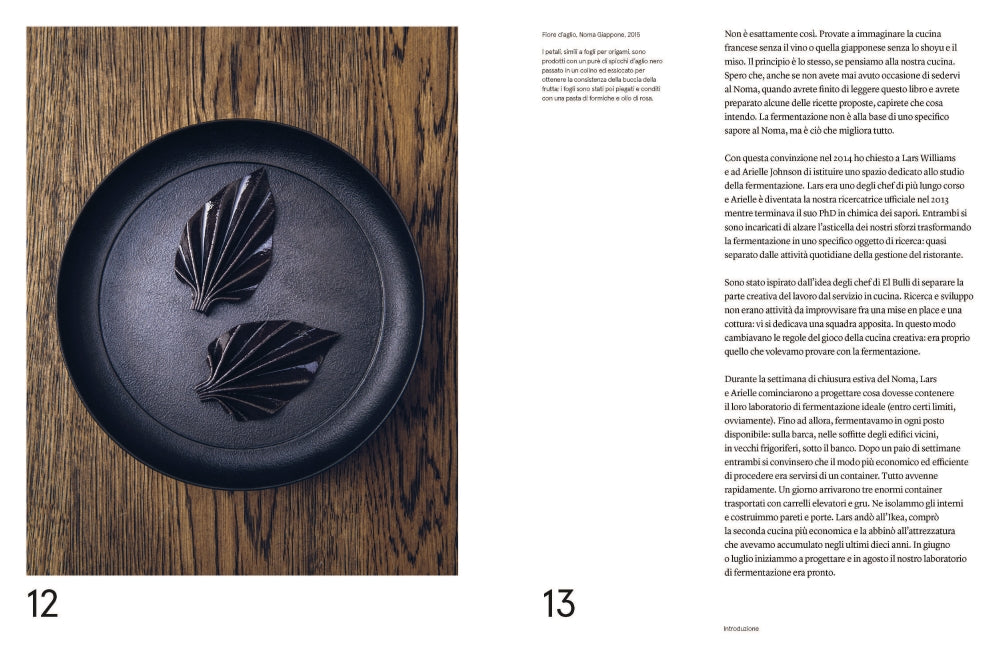 Noma. La guida alla fermentazione