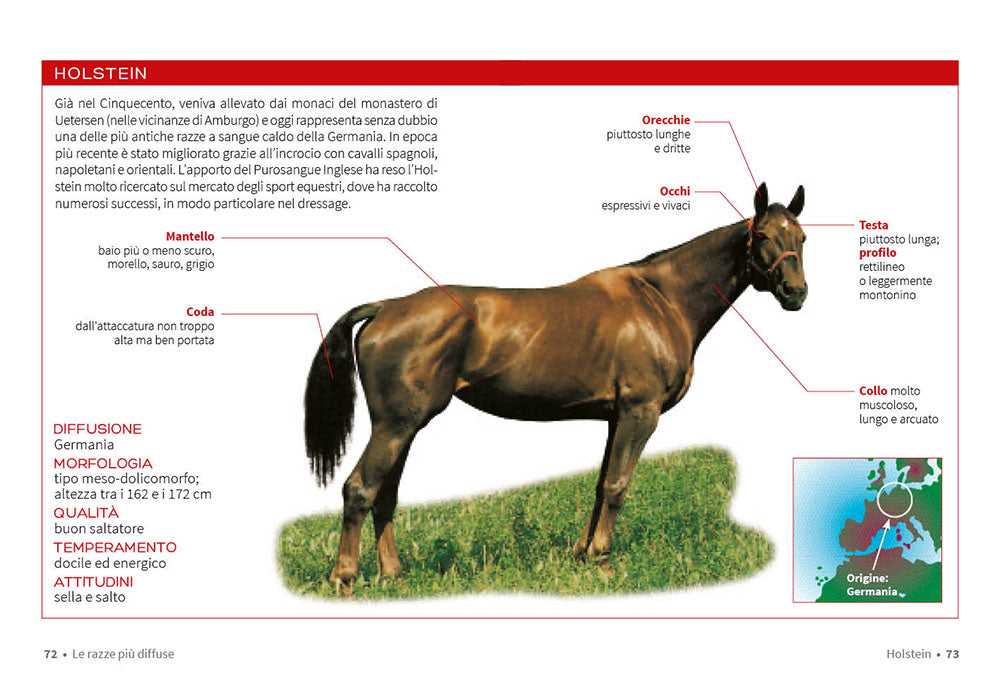 Cavallo. Il manuale completo::Razze, psicologia, alimentazione, pronto soccorso