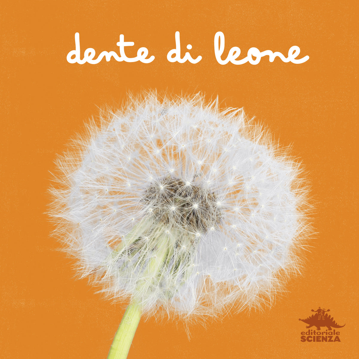 Dente di leone