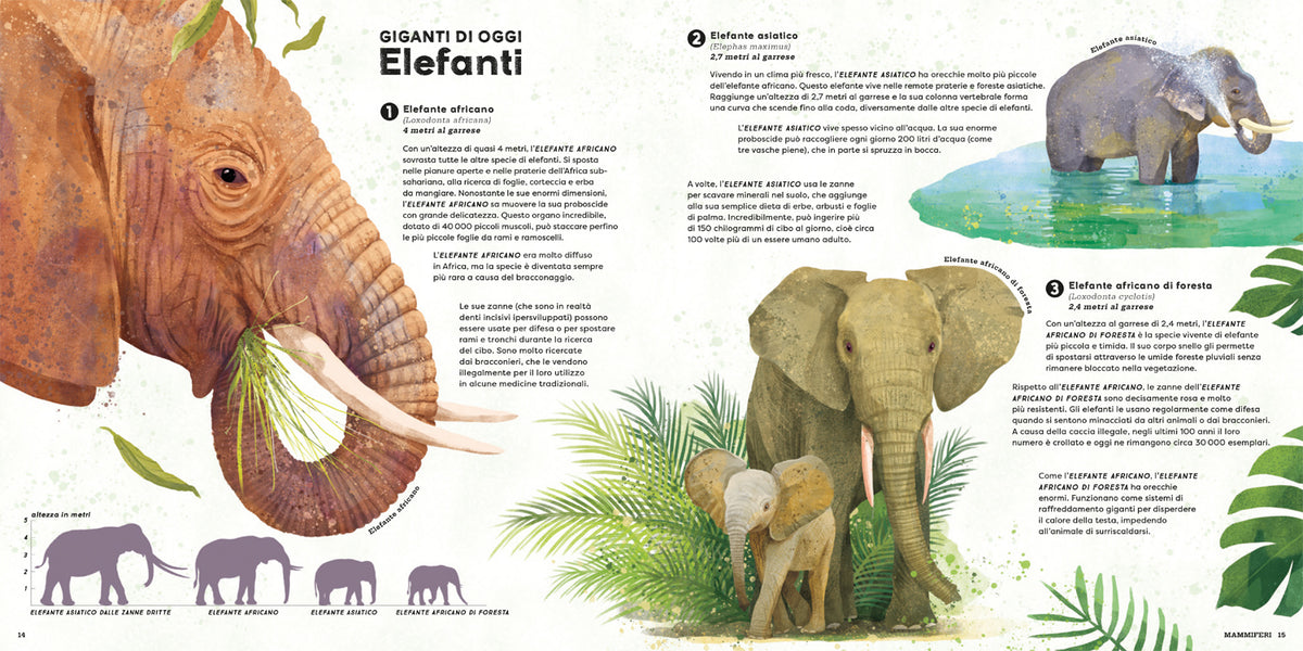 Mega::I più grandi animali di sempre!