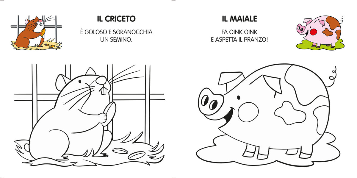 I miei primi animali da colorare
