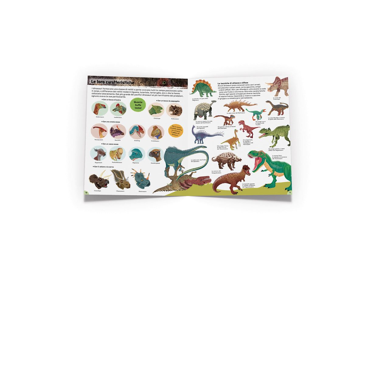 Al tempo dei dinosauri