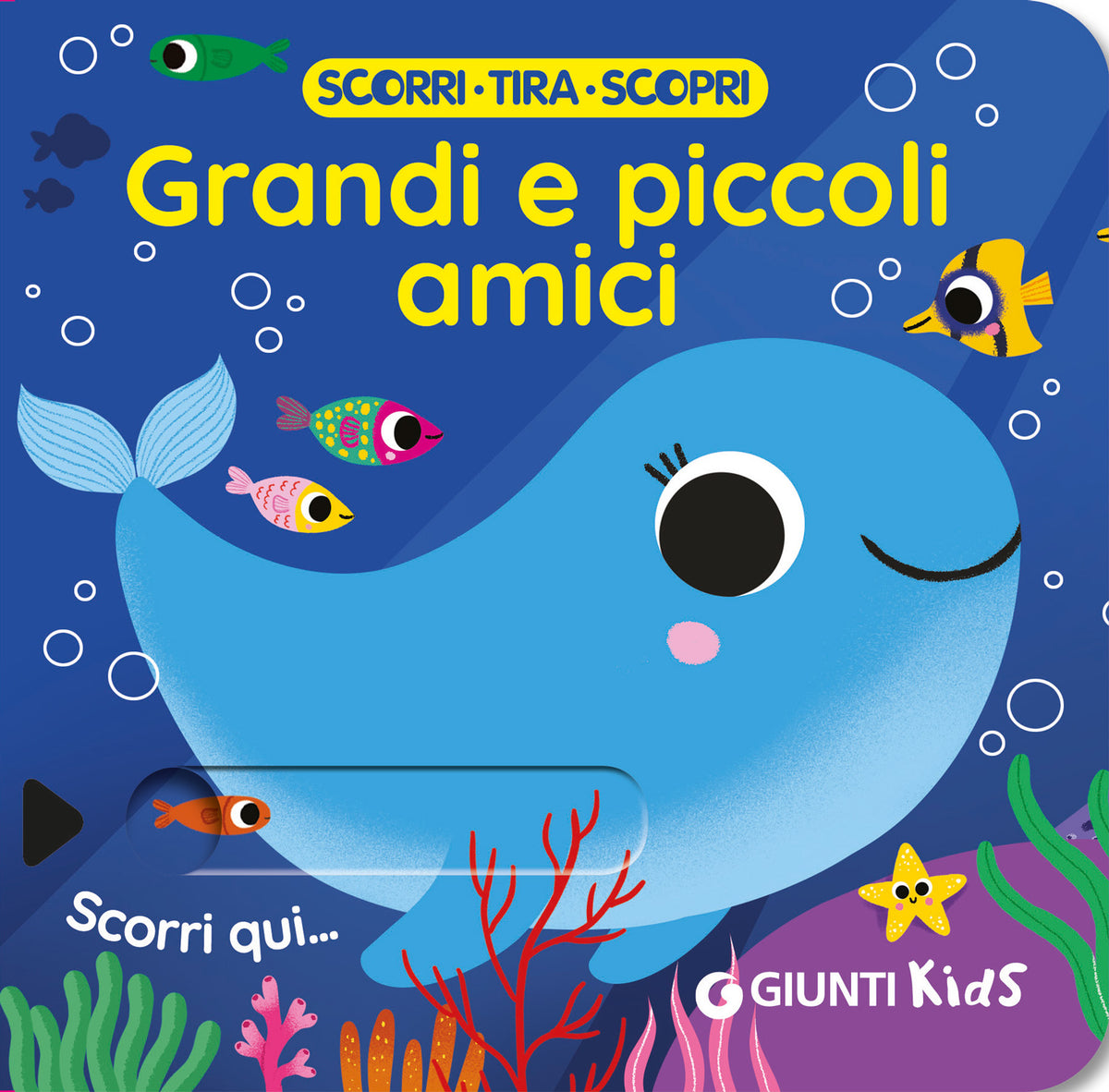 Chi è il più grande?