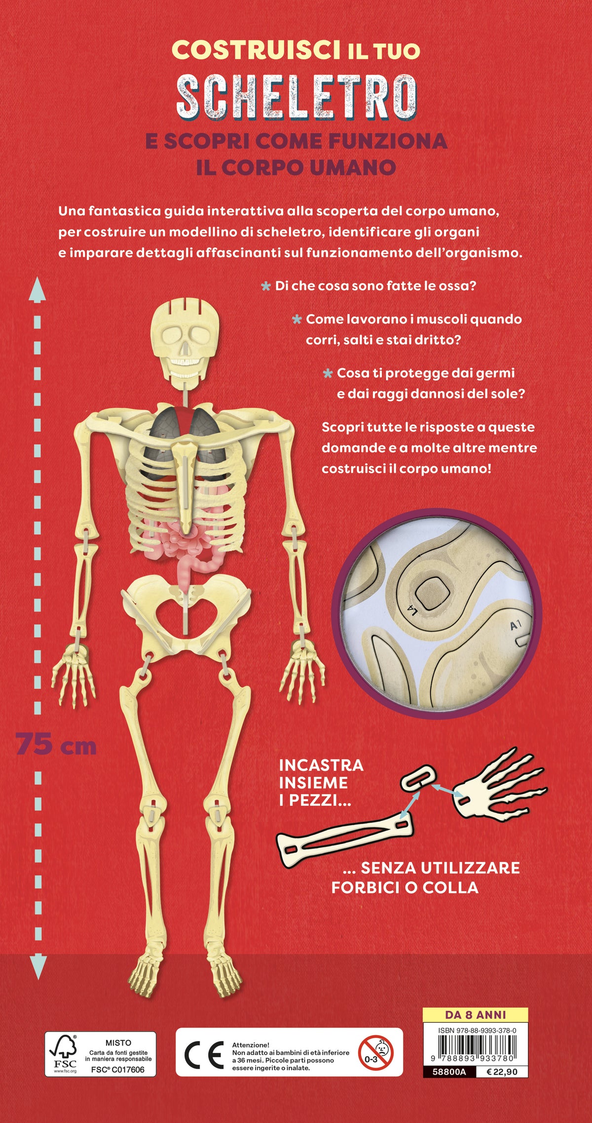 Costruisci il tuo scheletro::e scopri come funziona il corpo umano