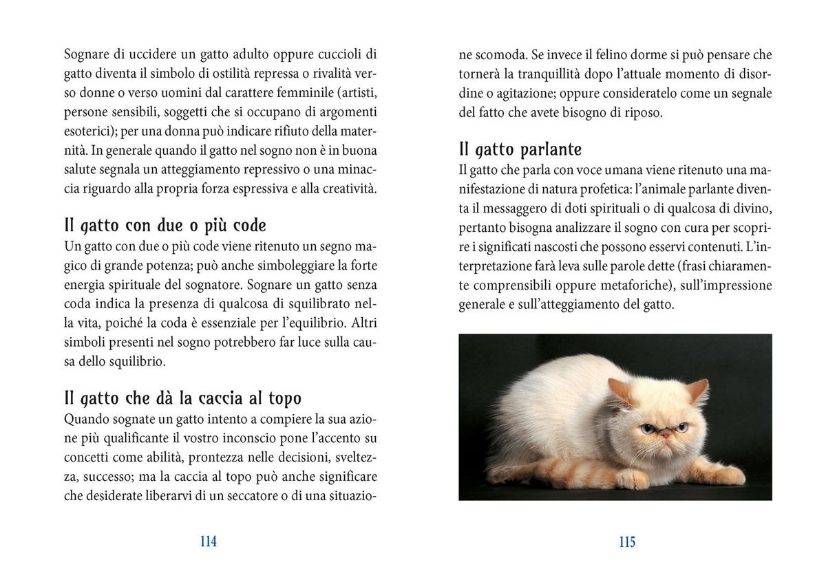 I poteri magici del gatto::Storia- Leggende - Tradizioni